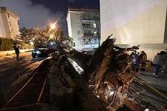 Стотици хиляди останаха без електричество в Отава заради торнадо