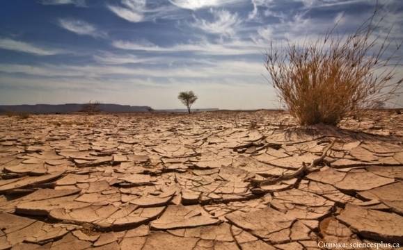 Учените предупреждават за глобална климатична катастрофа