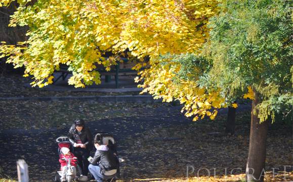 Денят ще започне със слънчево време и високи температури
