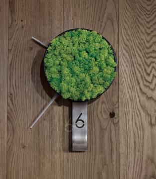 Зеленина, която не изисква поддържане