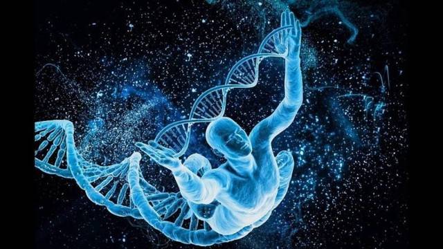 Някои Интересни Факти За Трансмутацията