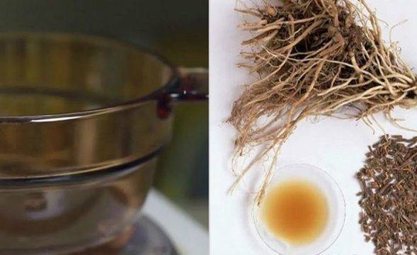 И лекарите остават безмълвни: Народен цяр възстановява костната тъкан и прави ставите като нови!