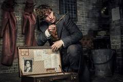 Вижте финалния трейлър на Фантастични животни: Престъпленията на Гриндъуолд