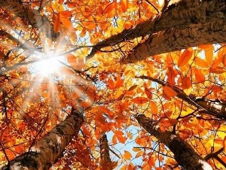 Днес слънчево с максимални температури между 19° и 24°