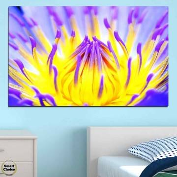 Картина пано за стена от 1 част с тропическа водна лилия – HD-548-1