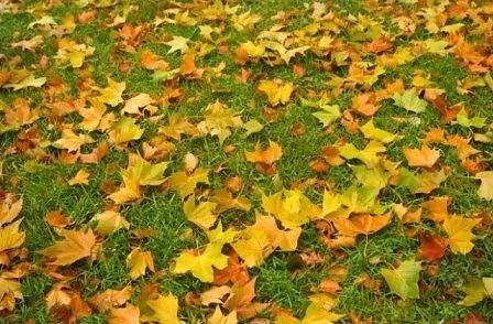 Днес облачно с максимални температури между 12° и 21°