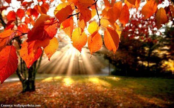 Синоптиците обещават „циганско лято“ през октомври