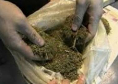 Дрога в Пиринско! Акцията на МВР е в разгара си!