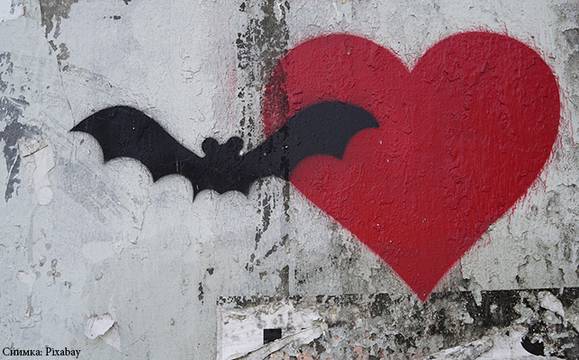 Нощ на прилепите увлича малки и големи тази вечер в Казиното