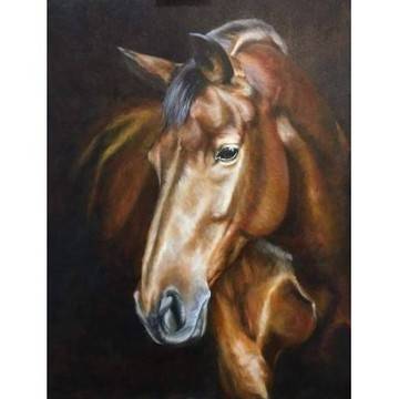 Елмазен гоблен Моят любим кон