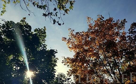 Петъкът ще бъде слънчев