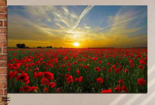 Картина пано за стена от 1 част с изображение на поле с макове – HD-609-1