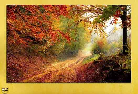 Картина пано за стена от 1 част с приказна есенна горска пътека – HD-764-1