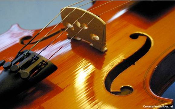 Малка цигуларка открива днешния фермерски пазар с музикален поздрав