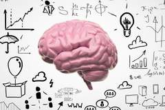 Според изследване, IQ-то на хората спада със 7 точки с всяко ново поколение