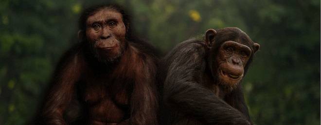 Естествен отбор (Теория на еволюцията)