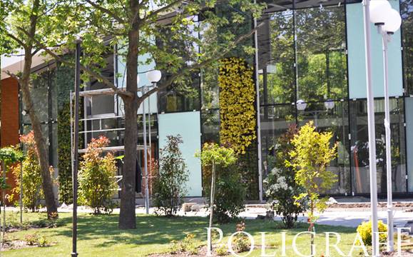 Разиграват на томбола кошница с цветя, луковици и пчелни продукти на Есенната Флора