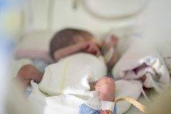 За недоносените бебета