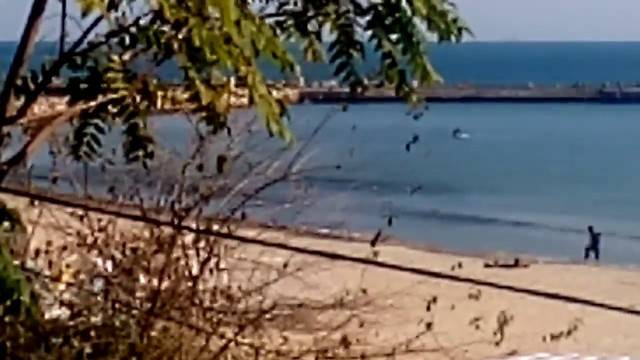 ВИДЕО: НА ПЛАЖ ПРЕЗ ОКТОМВРИ ВЪВ ВАРНА РАЗЛИЧНИТЕ НОВИНИ-DIFFERENT NEWS