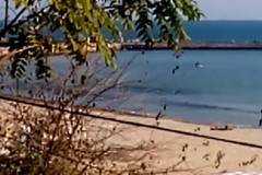 ВИДЕО: НА ПЛАЖ ПРЕЗ ОКТОМВРИ ВЪВ ВАРНА РАЗЛИЧНИТЕ НОВИНИ-DIFFERENT NEWS