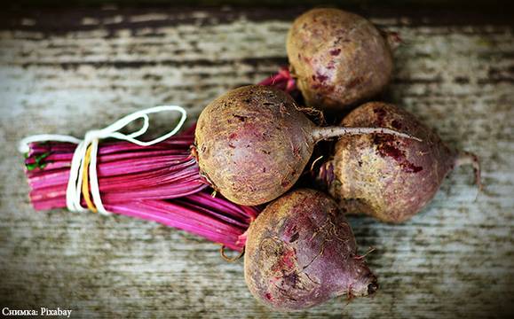 Шест храни за есенно пречистване на организма