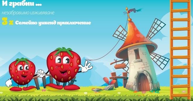 Спечелете семейно приключение, фотосесия или замесване на хляб