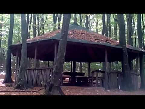 НА ГОРСКА РАЗХОДКА ДО ОСЕНОВО РАЗЛИЧНИТЕ НОВИНИ DIFFERENT NEWS