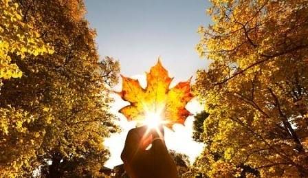 Днес ще преобладава слънчево време. Максималните температури ще са между 19° и 24°