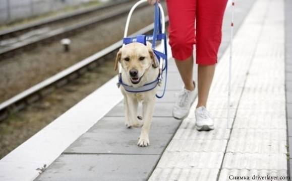 Днес е Международният ден на белия бастун
