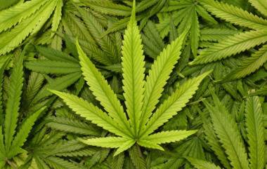 Хванаха 25-годишен с два вида наркотици