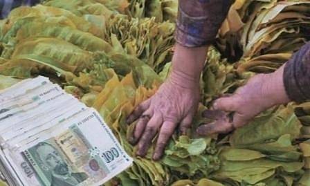 НАП се среща с тютюнопроизводители заради новото данъчно облагане