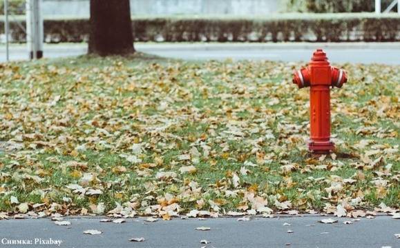 Късо съединение подпали бунгало в парк „Росенец“