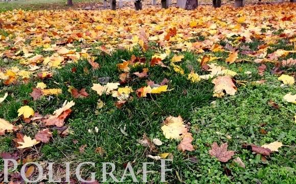 Времето ще бъде облачно, но с по-високи температури