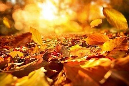 Днес слънчево с максимални температури между 15° и 20°