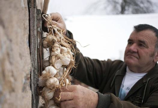 Запасете се с чесън! Най-страшните и зловещи истории за вампири от целия свят
