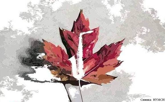 Малките таланти от Музикалното разказват „Пъстра есенна приказка“