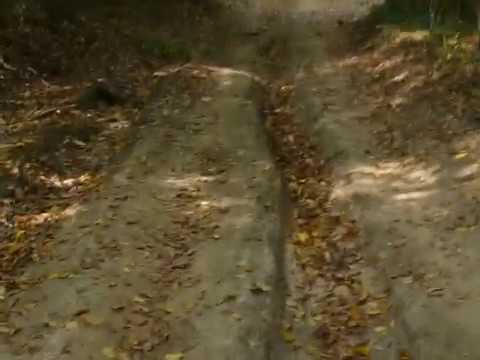 НА ПЪТ ЗА КАРА ДЕРЕ ПРЕЗ ГОРАТА РАЗЛИЧНИТЕ НОВИНИ-DIFFERENT NEWS И ВРЕМЕТО-БЕЗ ПОЛИТИКА