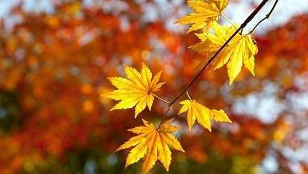 Днес слънчево и топло. Максималните температури ще са между 22° и 27°