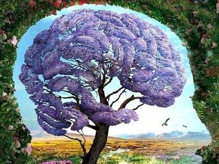 Първото, което видиш, разкрива от какво те е страх в любовта