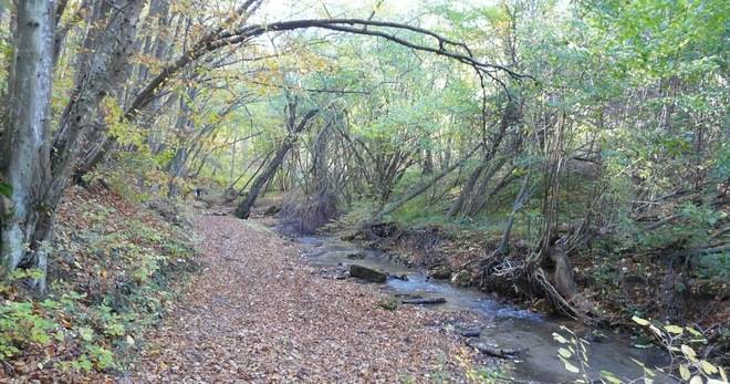 РАЗХОДКА ПРЕЗ КРАСИВА ЕСЕННА ГОРА ОТ ТРИТЕ ВОДЕНИЦИ ДО СЕЛО ЯРЕБИЧНА РАЗЛИЧНИТЕ НОВИНИ DIFFERENT NEWS