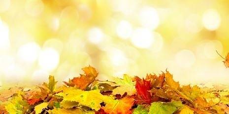 Изпращаме последните дни на октомври със слънчево и топло време