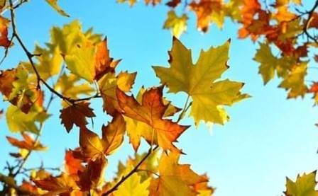 Днес слънчево с максимални температури между 22° и 27°