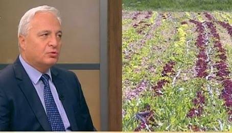 Председателят на Сметната палата: Биопроизводителите не са длъжни да реализират продукция