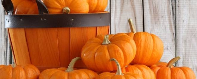 Тиквата – истинско съкровище на полезни вещества