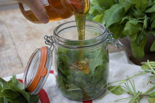 Всеки пушач трябва да пие този сироп поне веднъж годишно! Ето как се прави!