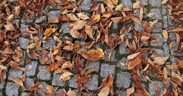 Извинете, кой сезон сме?!