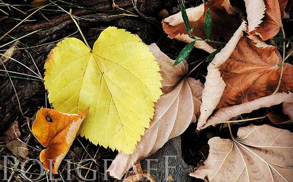 Петъкът ще бъде облачен, температурите по морето ще бъдат до 18 градуса