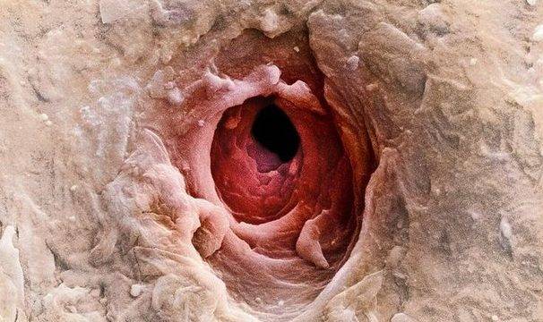 Колкото и да гледате тази снимка, няма да познаете какво е това! Все пак ще се пробвате ли?