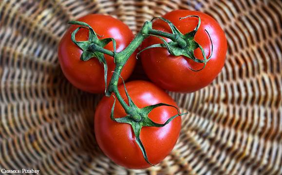 Доматите поевтиняха с над 20 стотинки