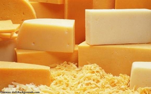 Прокуратурата се самосезира за мухлясалия кашкавал, сервиран в ямболски училища